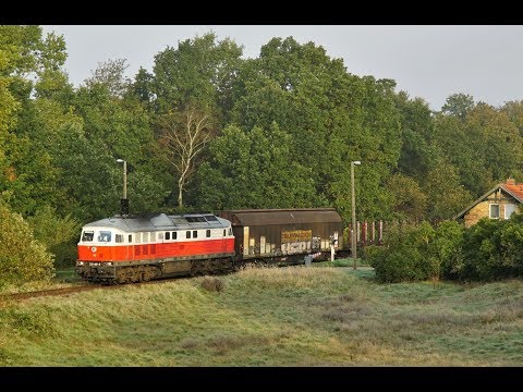 232 401 von Rostock Seehafen nach Karow