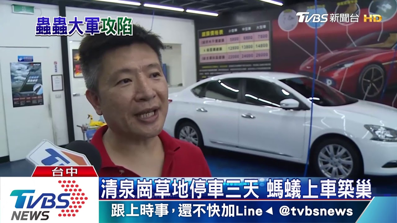清泉崗草地停車三天 螞蟻上車築巢
