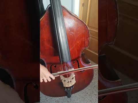 Modesto Balue 1920 image 26