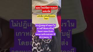 Download lagu #remix #dj #edm #music #sound #automobile #bamboo1 #mindset #farmlife #missuniverse mp3 Download lagu #remix #dj #edm #music #sound #automobile #bamboo1 #mindset #farmlife #missuniverse mp3