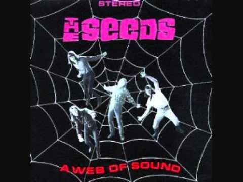 The Seeds - Just Let Go