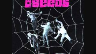 The Seeds - Just Let Go