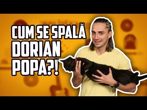 Politia Muzicii: MARIO Fresh X DORIAN Popa - Caliente, DELIRIC X Silent Strike - Zambim Fals