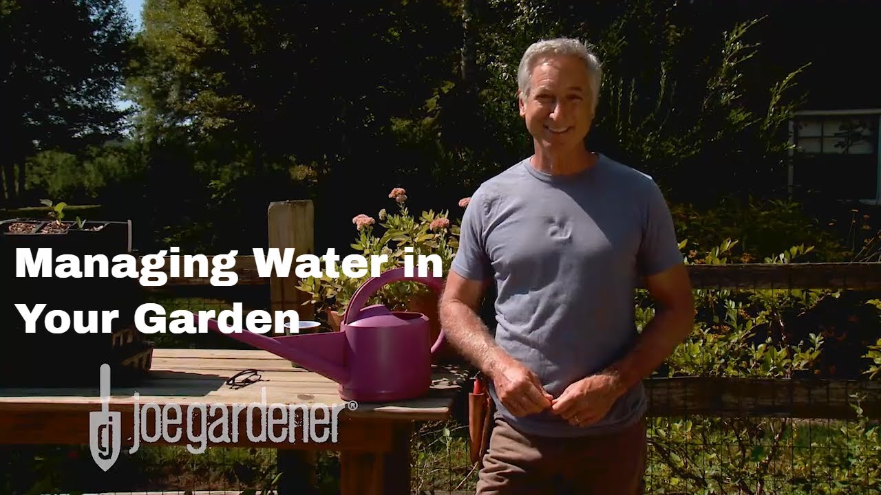 How to Manage Water in Your Garden