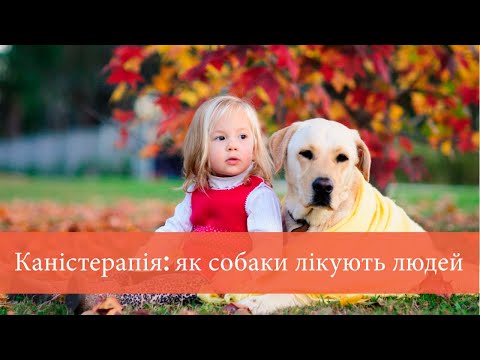 Каністерапія: як собаки лікують людей .....