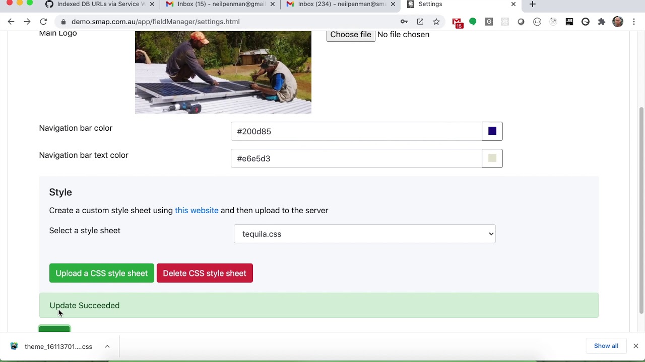 Customising the appearance of Smap Server