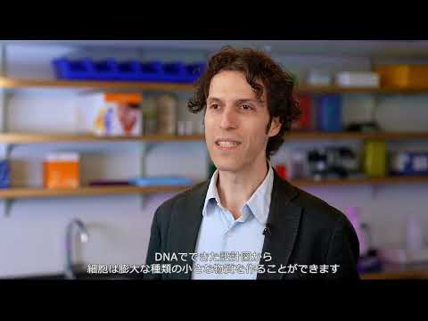 ホモ・デウス – CRISPR 遺伝子ハサミで人間は神になる