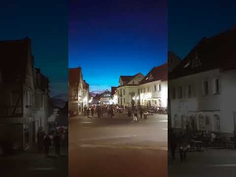 lorsch spaziergang 23.02.2022 für freiheit und grundrechte