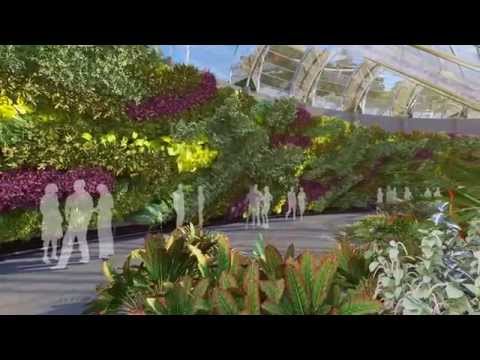 The Calyx Flythrough