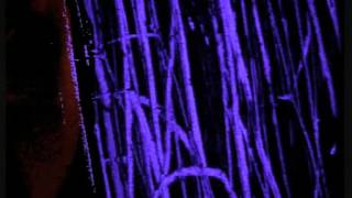 Shihad - Gimme Gimme (Remastered)