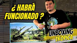 Cómo plantar un ACUARIO DE CONCURSO 🏆 (Unboxing TROPICA)