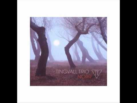 Tingvall Trio - Grrr (Norr 2008).wmv