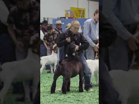 A Câștigat Premiul Cel Mare(@rodeohouston)
