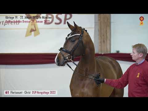 Lot 61: Hengst v. Floriscount/Christ