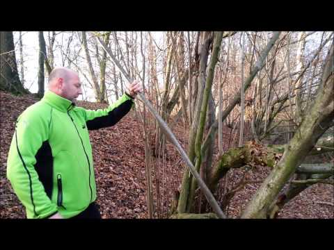 Bogenbau aus Haselnuss (PART1/2)