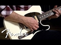 Fender Standard Telecaster HH Demo 