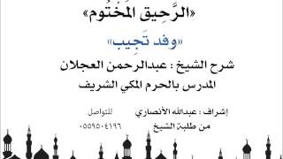الرحيق المختوم | شرح الشيخ عبدالرحمن العجلان | وفد تجيب image