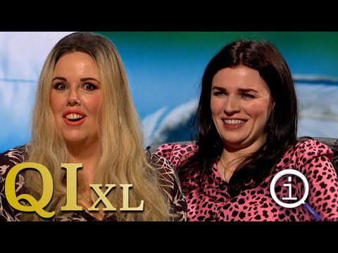 QI Series 20: Sensational | With Aisling Bea, Roisin Conaty & Jessica Fostekew