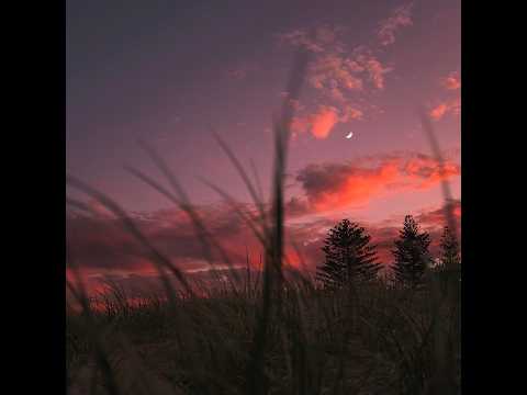 (FREE) *ukulele* Juice WRLD x Joji Type Beat -