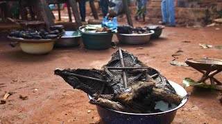 video: Bushmeat hunting in Central Africa: Giving forests back to communities could halt the next pandemic