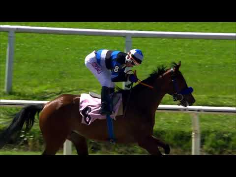 211024 c03 LINDA EFFECT (BRZ)