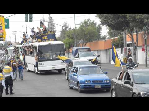"Pumas llegando al azteca" Barra: La Rebel &bull; Club: Pumas