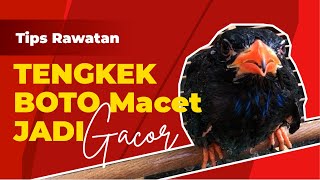 Download lagu BLIND HEAD JAM? LISTEN TO THIS So Gacor Returns! mp3