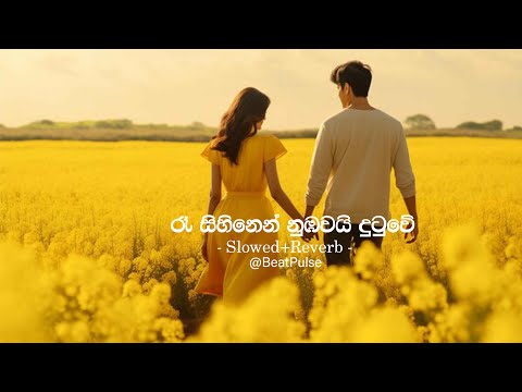 Ra Sihinen Nubawai Dutuwe - එක බැල්මෙන් නුඹ මා වසඟ කළා (Slowed+Reverb) @BeatPulse-h9d