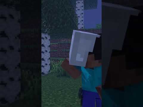 EPIC Minecraft Noob Story Animation!! 🎮