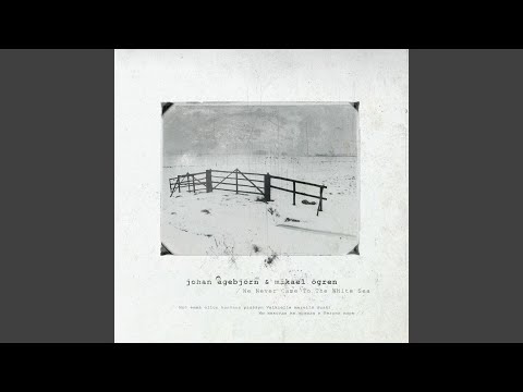 Sleepless on the Kostomuksha-Petrozavodsk Night Train