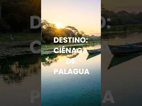 Joyas del magdalena medio