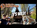 Ultimate Family Guide To San Diego S SAFARI PARK Tips For Amazing Visit