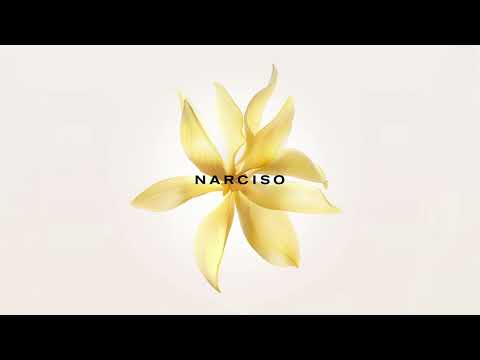 narciso rodriguez - NARCISO eau de parfum radiante