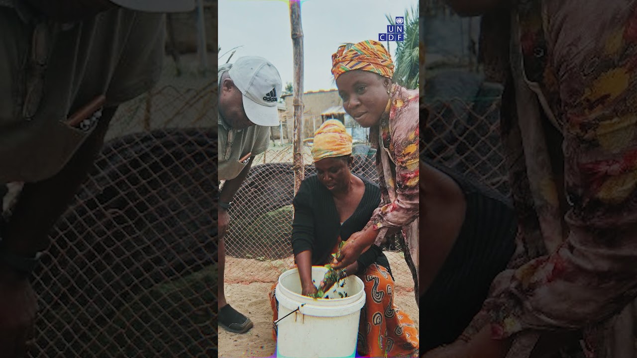 From Failing Crops to Resilient Farming | Ghana