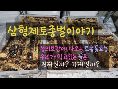 , title : '우리가 먹는 꿀[Honey]은 진짜일까? 가짜일까? 알아볼까요!!!! 이번영상 끝까지 시청해주세요~~!!'