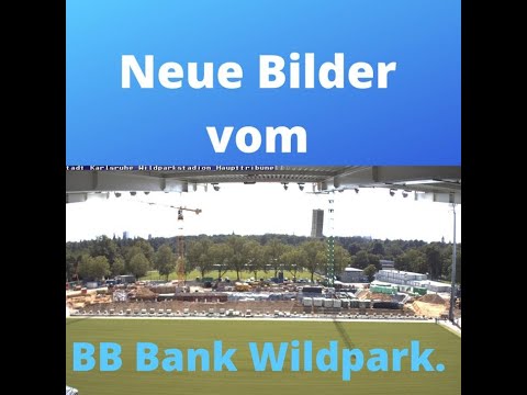 Neue Bilder vom BB Bank Wildpark vom 18.6.2021