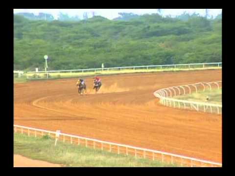 1ra. Carrera Jueves 17 de Octubre de 2013 SANTA RITA