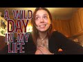 A WILD Day In My Life Vlog | LoveChild Beauty Launch!