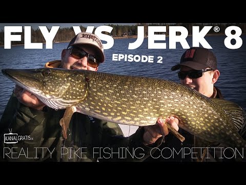 Fly vs Jerk 8 - EPISODE 2 - Kanalgratis.se (with German, French & Dutch subtitles)