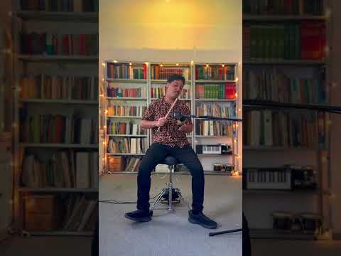 Te llevaré - Lisandro Meza (Cover Miguel Buenrostro & David Silvestre)