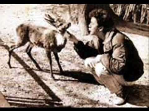 Poslednja Igra Leptira - Taxi