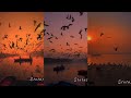 Noor Hi Noor Bikhra Hua Hai Status Love Status Trending Status Romantic Status Reels Status Viral
