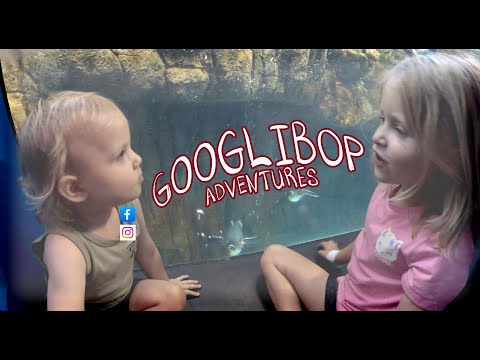 ADVENTURE 006; INDIANAPOLIS ZOO AND MUSEUM BIRTHDAY MINI VACATION