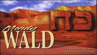 מנדי וואלד - כח (2006) Mendy Wald - Koach