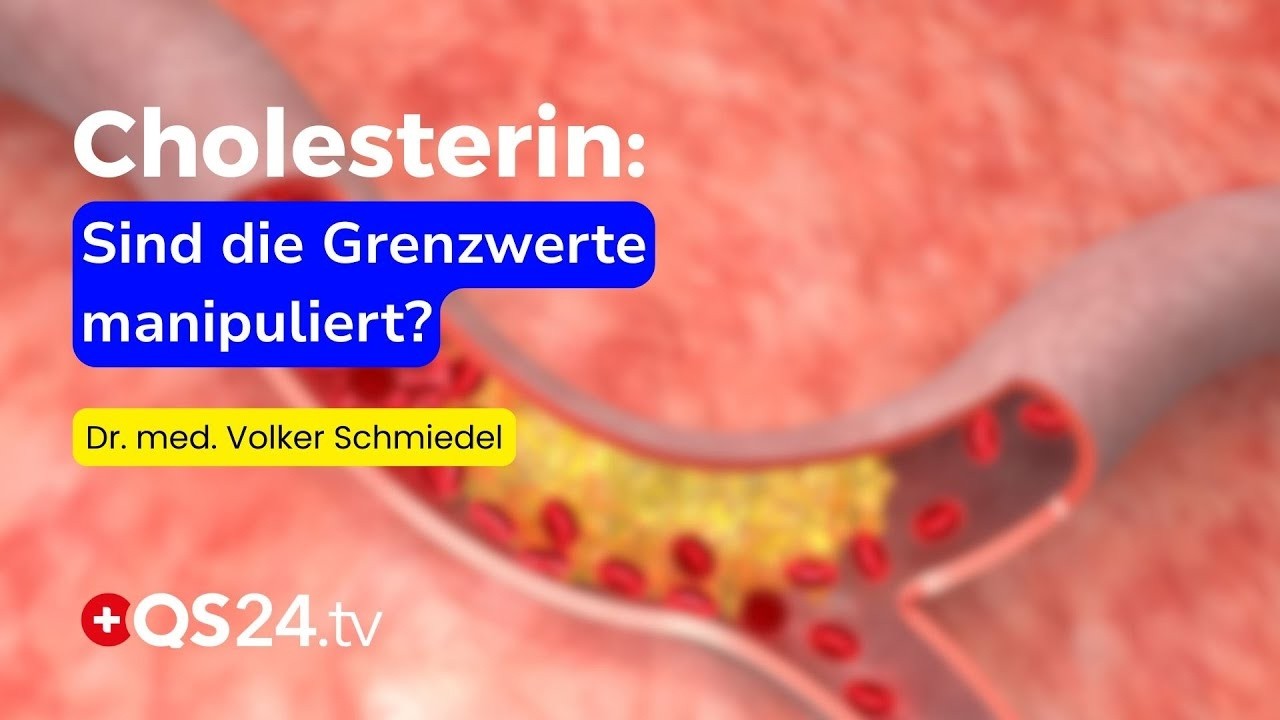 Cholesterin & Gesundheit: Was Ihre Werte wirklich bedeuten | Dr. Volker Schmiedel | QS24
