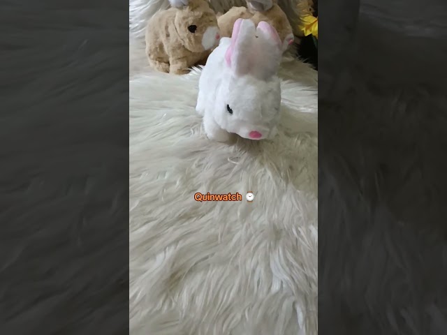 Vídeo relacionado con Auzlya Conejo de Peluche Electrónico Pascua,Juguete de Conejito Saltando,Simulación de Conejo de Peluche Suave,Conejo Saltador Juguete electrónico Interactivo,Juguetes Interactivos