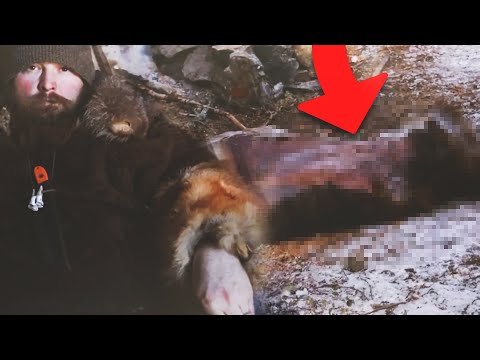 100 Days Wild Season 1 Best Bits