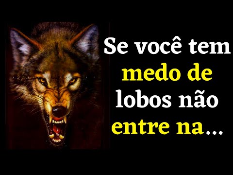 Provrbios Russos que voc deve ouvir e praticar todos os dias - Citaes, aforismos e filosofias