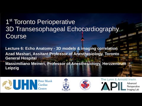 6  Mashari Meineri - 2019 - 3D Anatomy. Toronto Perioperative 3D TEE Course 2019