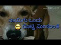 Anatha Maguvade Nanu